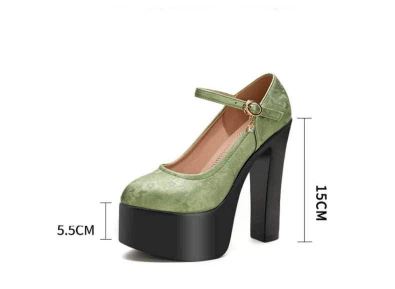 15cm Small Size 32-43 Sexy Embroider Chunky Platform Shoes Women Pumps Fall Block High Heels Shoes for Model Party Show