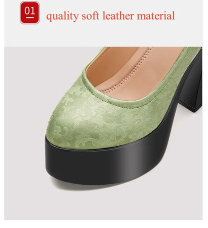 15cm Small Size 32-43 Sexy Embroider Chunky Platform Shoes Women Pumps Fall Block High Heels Shoes for Model Party Show